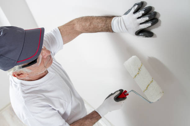 Best Drywall Removal and Disposal  in Dravosburg, PA